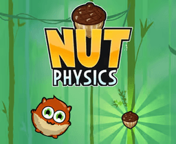 Nut Physics